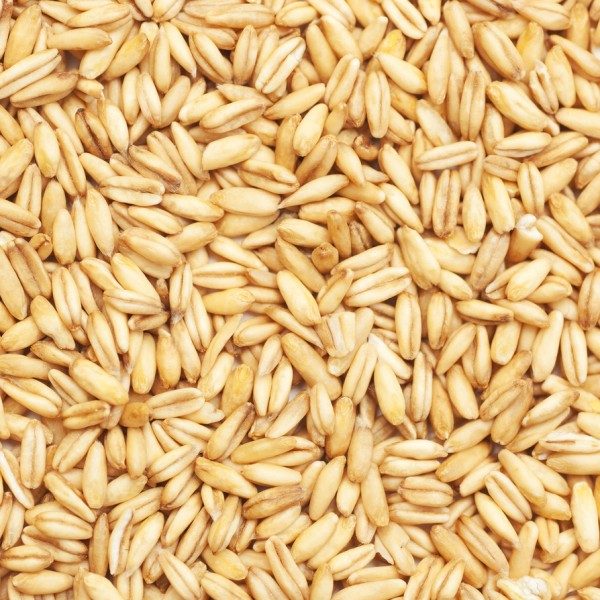 Semilla Avena 500gr