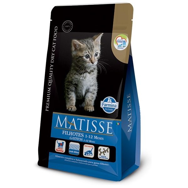 Matisse Filhotes Kitten (Gatitos)