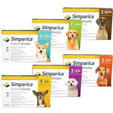 Resultado de imagen para simparica