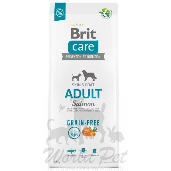 Brit Adulto Small/Medium Salmon