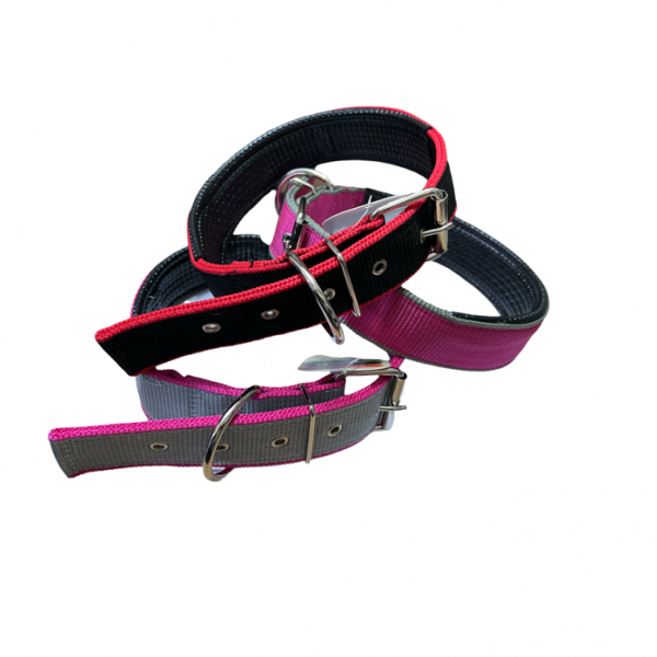 Collar Reforzado Acolchado
