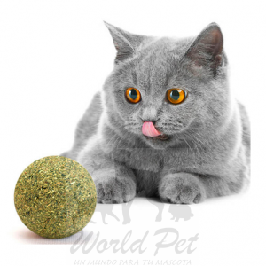 Wonder Cat Bola Catnip XL 5Cm