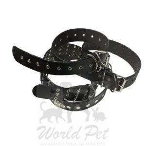 Collar Cuero para Perros