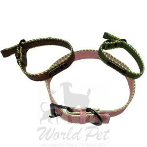 Collar Perros