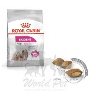 Royal Canin Mini Exigent 3Kg.