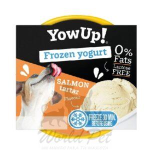 Yow Up Helado Salmon Tartar 110Gr